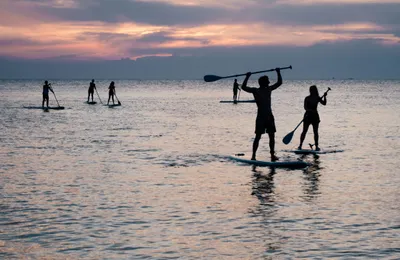 People on SUPs out on the sea